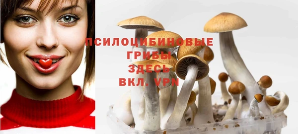 гашик Нязепетровск