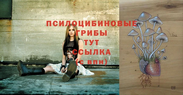 марки nbome Няндома