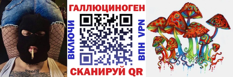 хочу наркоту  Балей  Псилоцибиновые грибы Psilocybine cubensis 